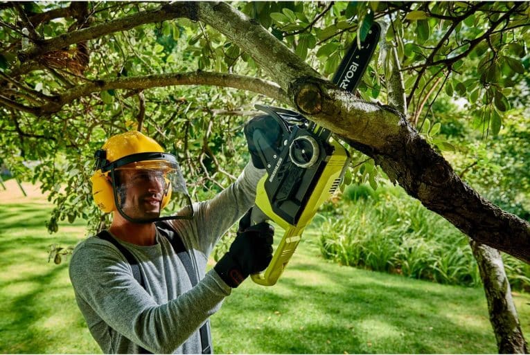 Quelles sont les précautions à prendre avant d’abattre un arbre ?